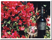 Vinedos Malagon Equua Wine